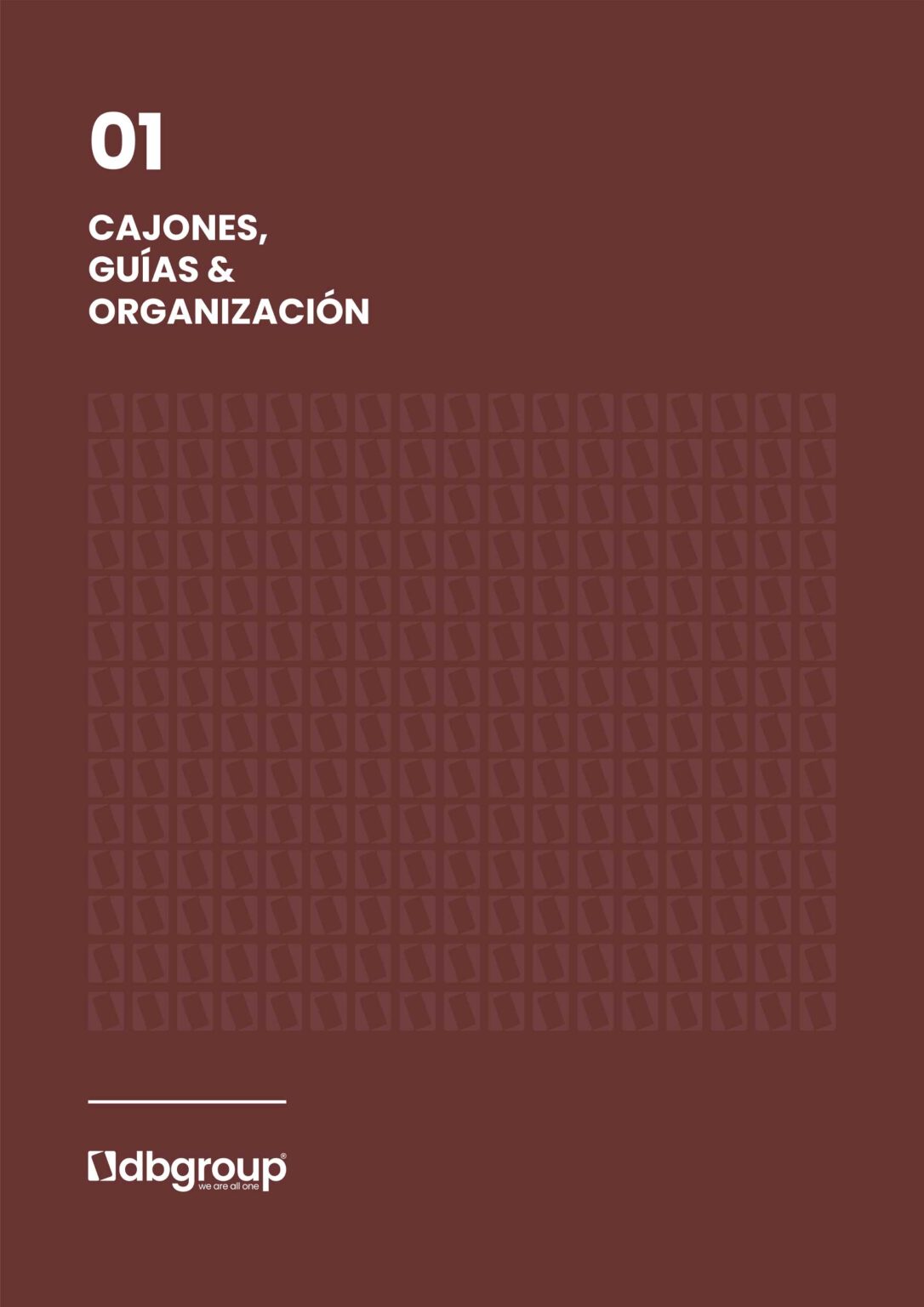Cajones guias y organizacion
